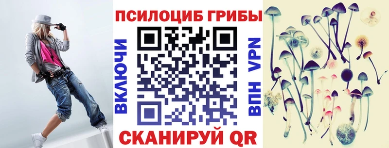 купить наркотики цена  Покачи  Галлюциногенные грибы Psilocybine cubensis 